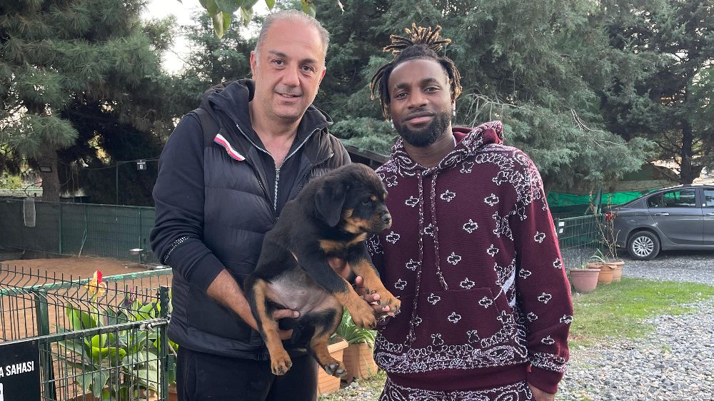 Allan Saint-Maximin'den çocuklarına yavru rottweiler sürprizi!